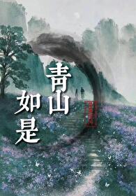 青山如是小说