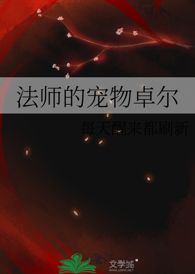 魔兽世界法师宠物