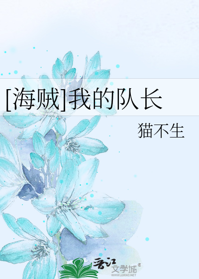 海贼我的队长免费