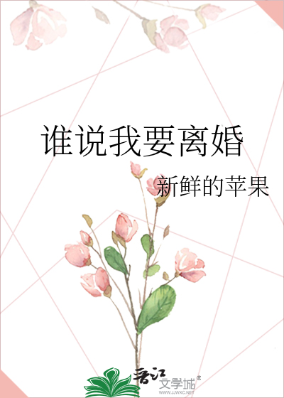 谁说我要离婚TXT