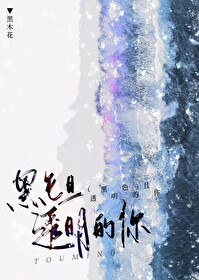 透明的你 歌词