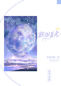 颠倒星光小说