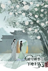 大理寺-卿