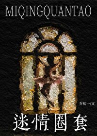 小说名叫什么迷情的小说