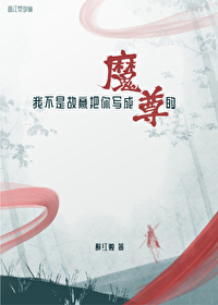 我不是故意的 小说