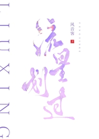 流星划过你问我要什么是什么歌