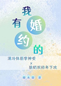 小说有婚约的小说