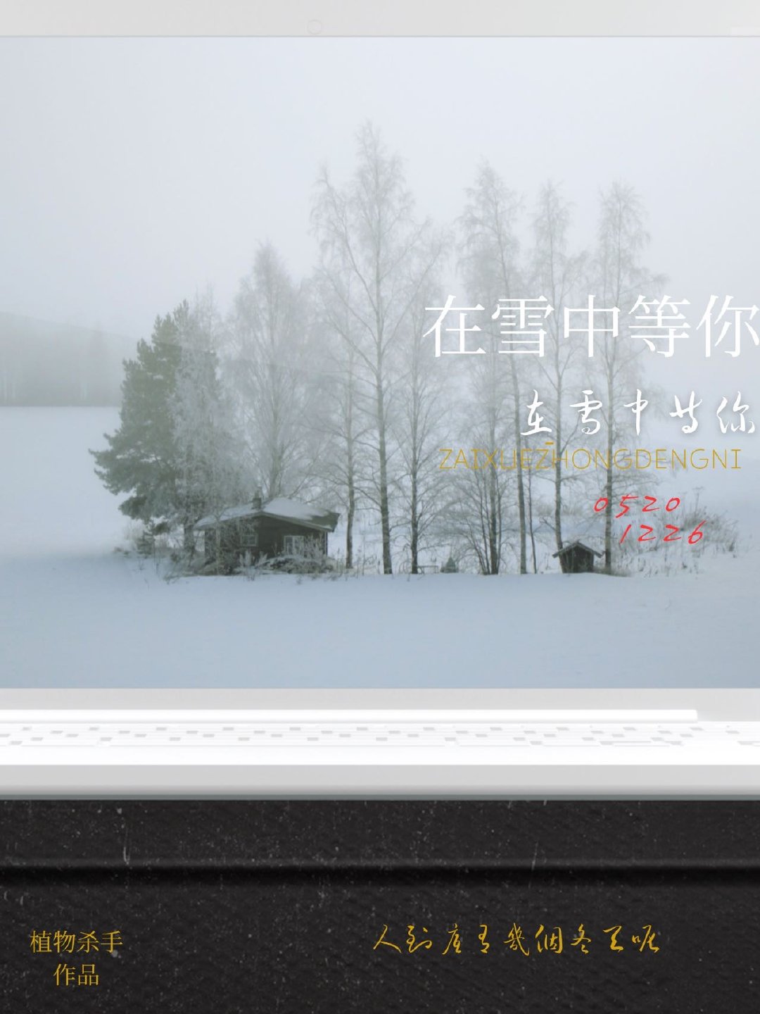 在雪中等你植物杀手