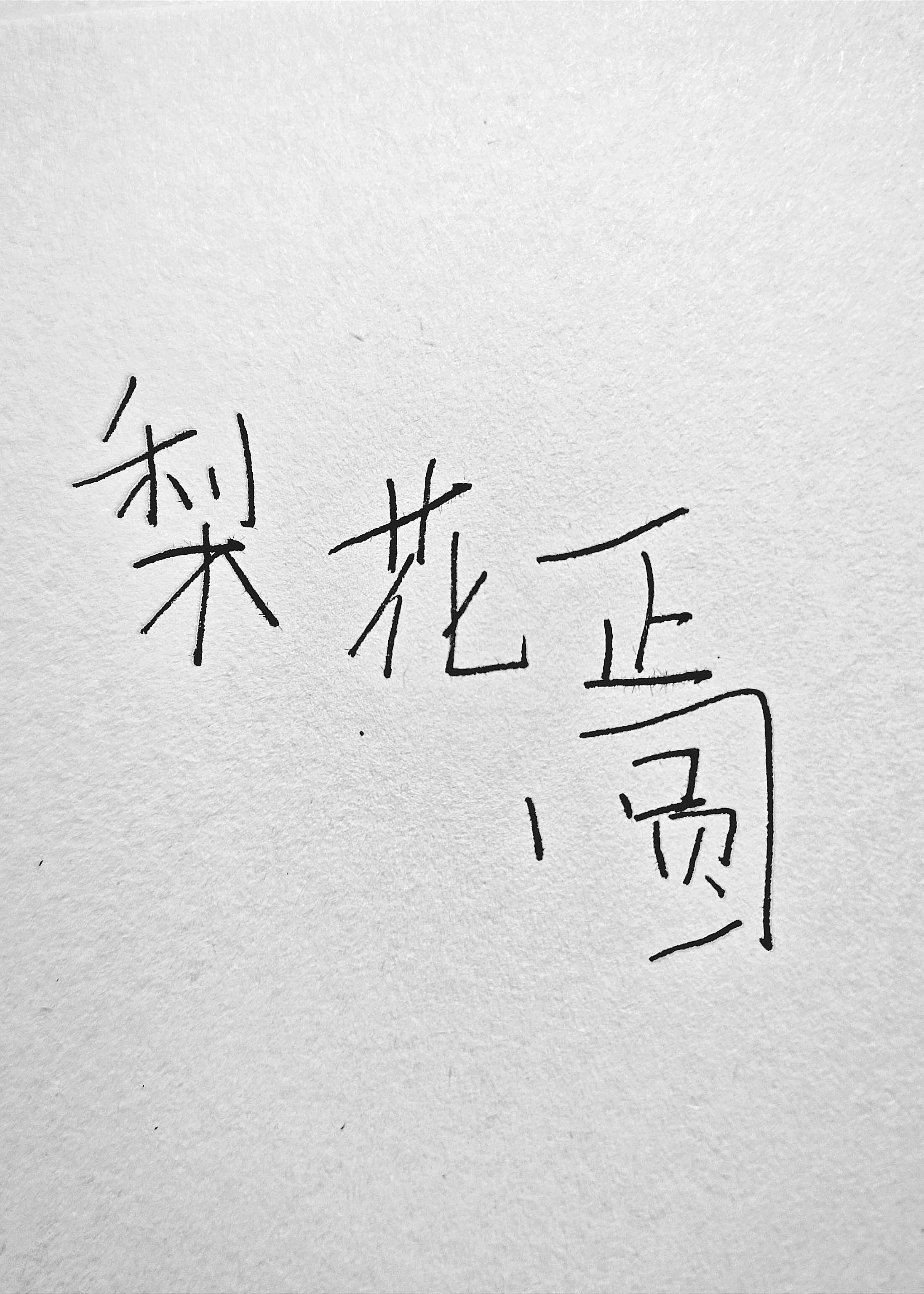 梨花正圆51