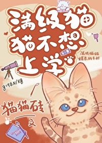 满级猫咪