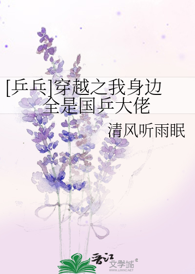 穿越乒乓球的小说