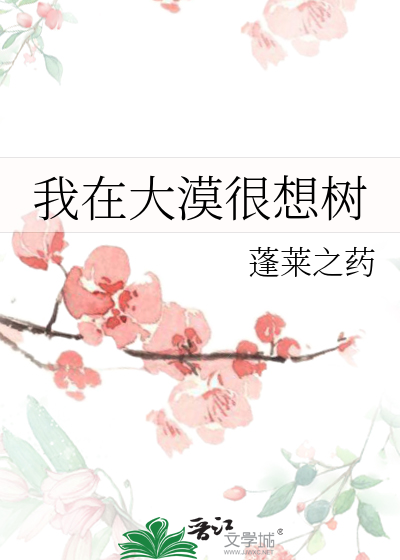 我在大漠等你简介