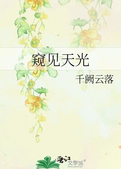窥见天光的意思