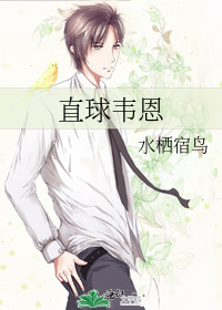 韦恩的篮球小说
