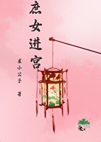 庶女进宫宫斗文