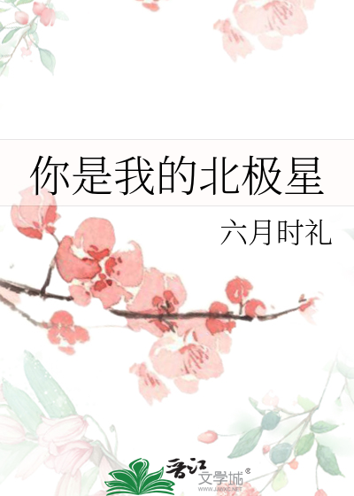 你是我的北极星我在森林迷路
